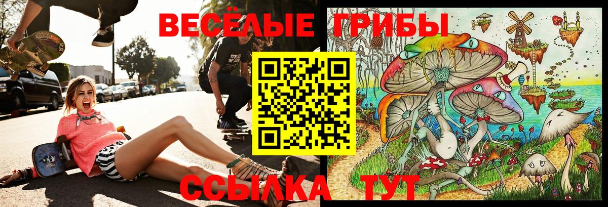 Галлюциногенные грибы GOLDEN TEACHER  Псилоцибиновые грибы мицелий  Вход с VPN  Соликамск 